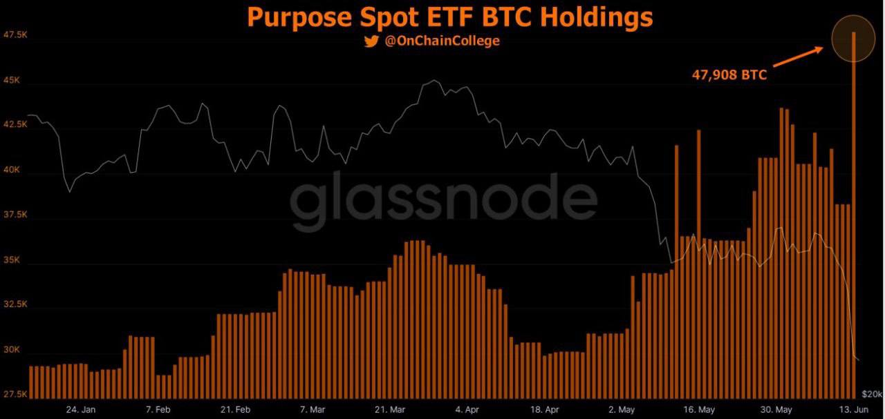 Market Research Report: Liquidation Hunt Crushes Crypto, Weaker Economic Outlook Pounds Stocks and Oil - Purpose BTC ETF inflow