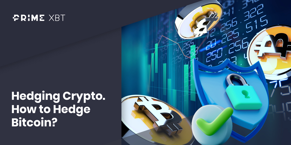 Beginner's Guide: How to Hedge Your Crypto Portfolio - 251