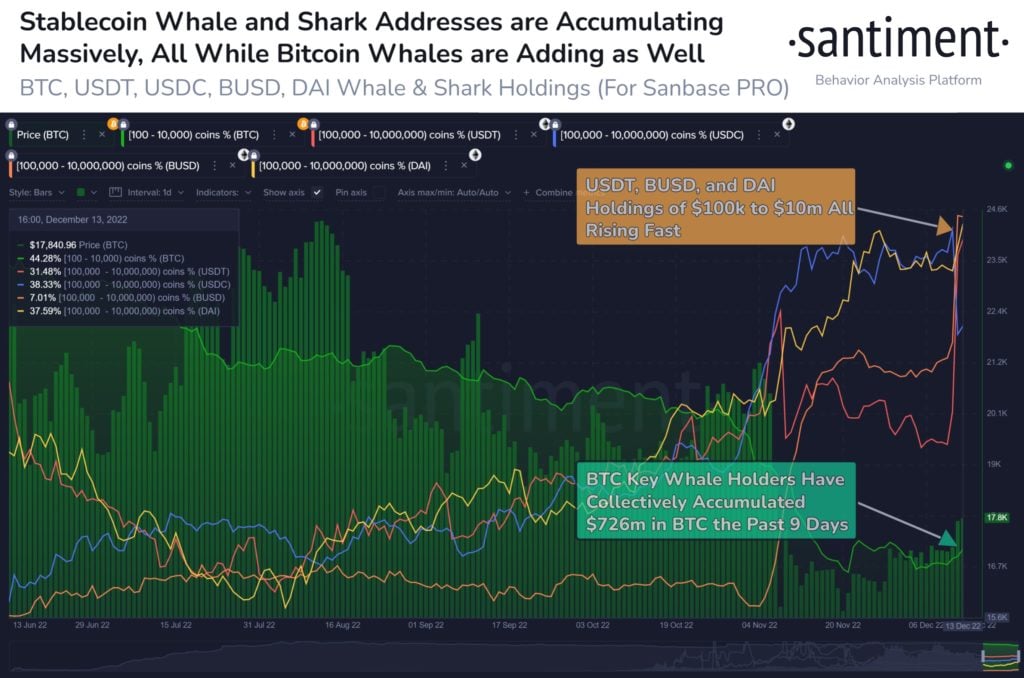 Market Research Report: Markets Sold Off as Traders Disappointed with Fed Hawkishness, Crypto Market Hit by Multiple Blows - BTC large whales 1024x678