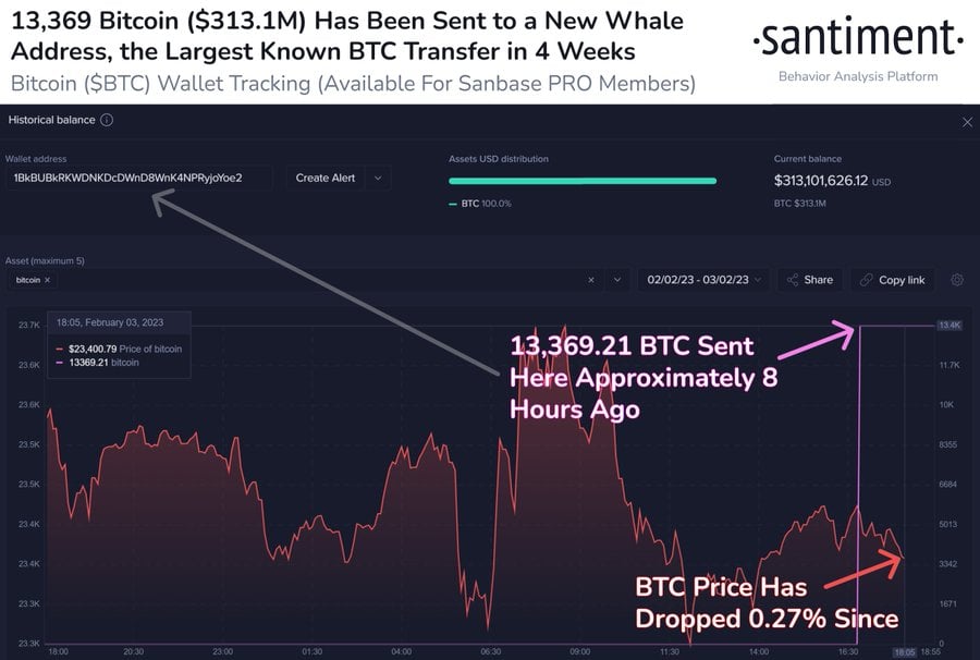 Market Research Report: Altcoins Roar Higher Amid BTC Consolidation, Rocketing US Payrolls Lead Dollar Recovery - BTC whale